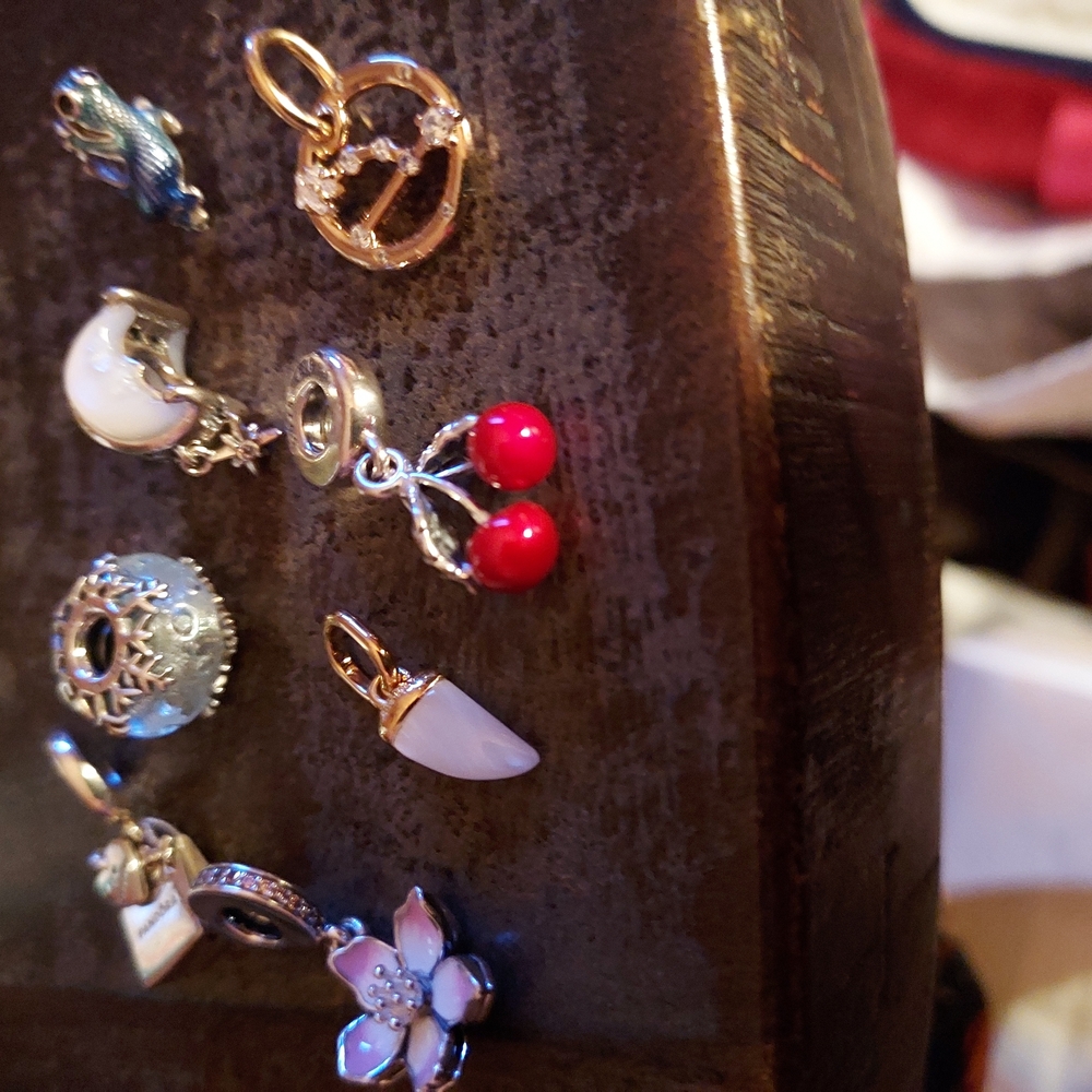 Pandora Charms
